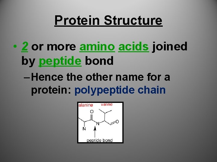 Protein Structure • 2 or more amino acids joined by peptide bond – Hence