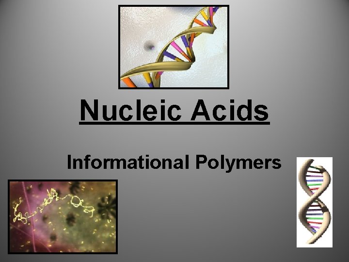 Nucleic Acids Informational Polymers 