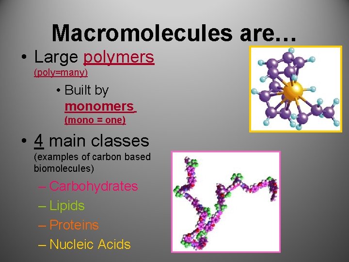 Macromolecules are… • Large polymers (poly=many) • Built by monomers (mono = one) •