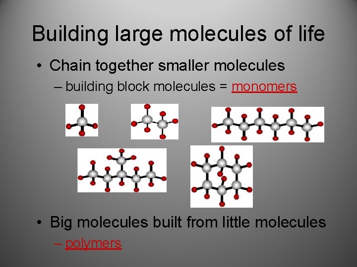 Building large molecules of life • Chain together smaller molecules – building block molecules