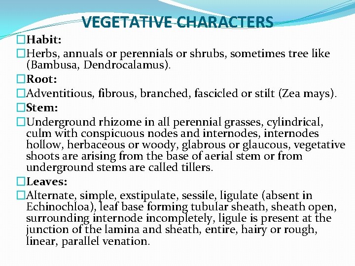 VEGETATIVE CHARACTERS �Habit: �Herbs, annuals or perennials or shrubs, sometimes tree like (Bambusa, Dendrocalamus).