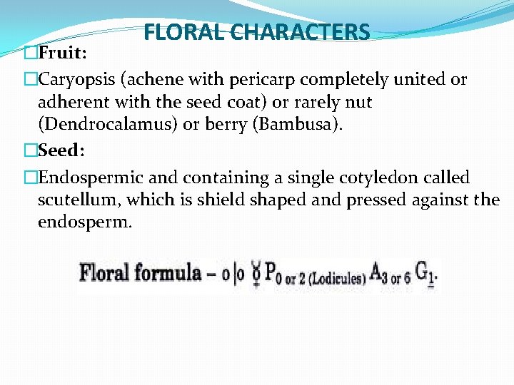 FLORAL CHARACTERS �Fruit: �Caryopsis (achene with pericarp completely united or adherent with the seed