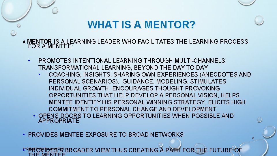 WHAT IS A MENTOR? A MENTOR IS A LEARNING LEADER WHO FACILITATES THE LEARNING