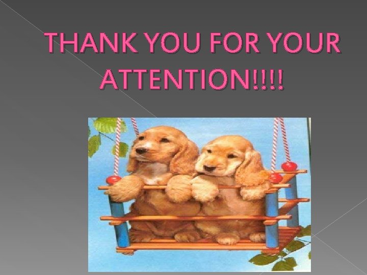 THANK YOU FOR YOUR ATTENTION!!!! 