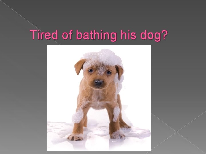 Tired of bathing his dog? 