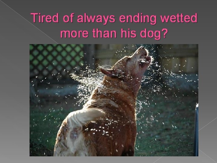 Tired of always ending wetted more than his dog? 