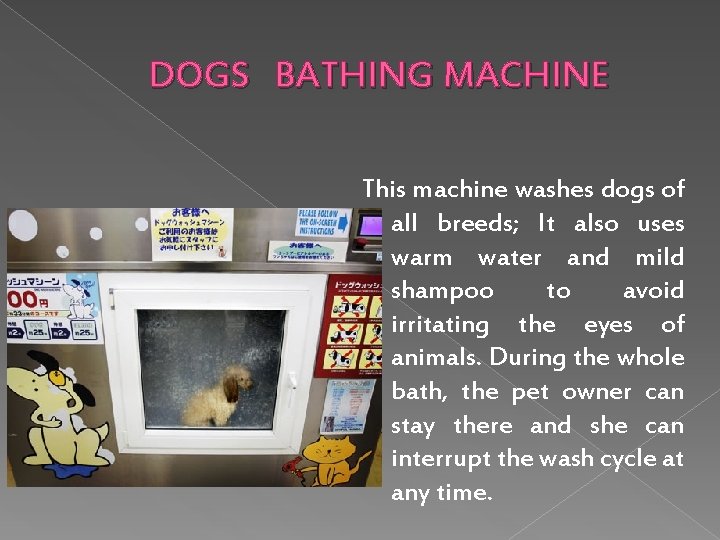 DOGS BATHING MACHINE This machine washes dogs of all breeds; It also uses warm