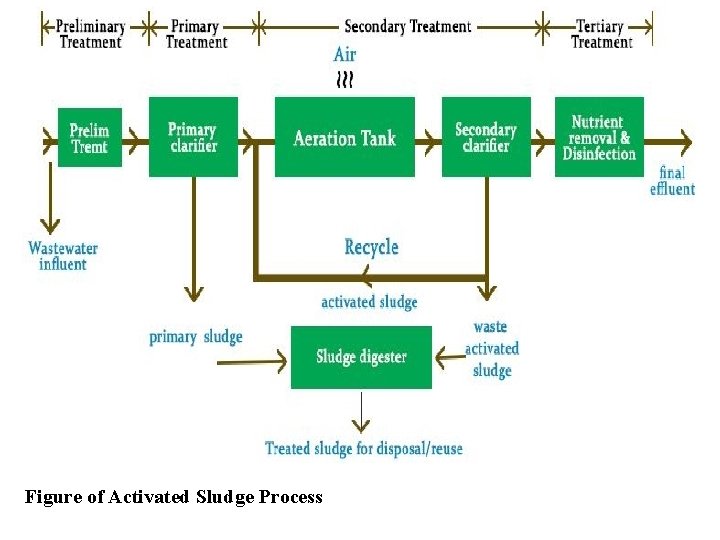 Figure of Activated Sludge Process 