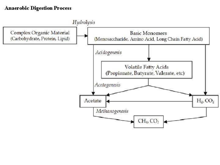 Anaerobic Digestion Process 