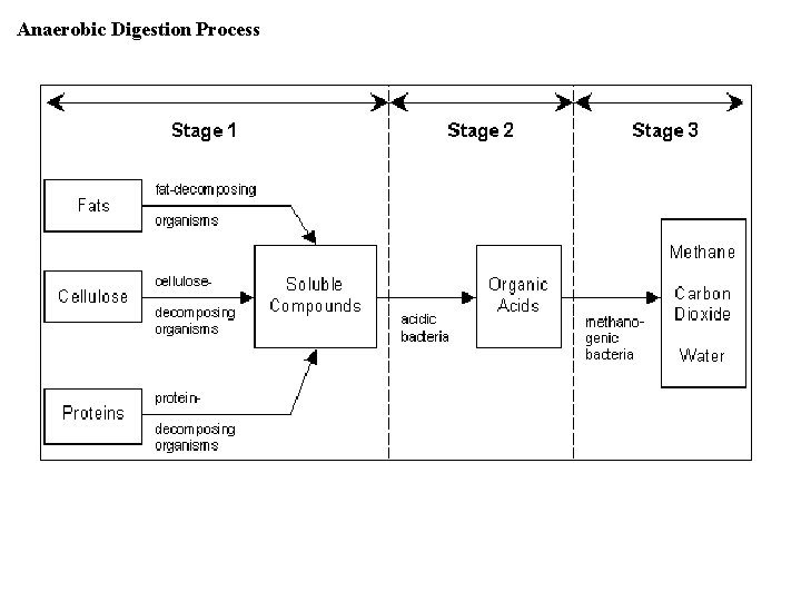 Anaerobic Digestion Process 