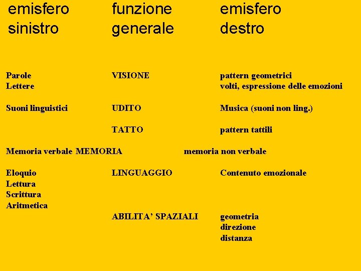 emisfero sinistro funzione generale emisfero destro Parole Lettere VISIONE pattern geometrici volti, espressione delle