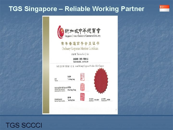 TGS Singapore – Reliable Working Partner TGS SCCCI 