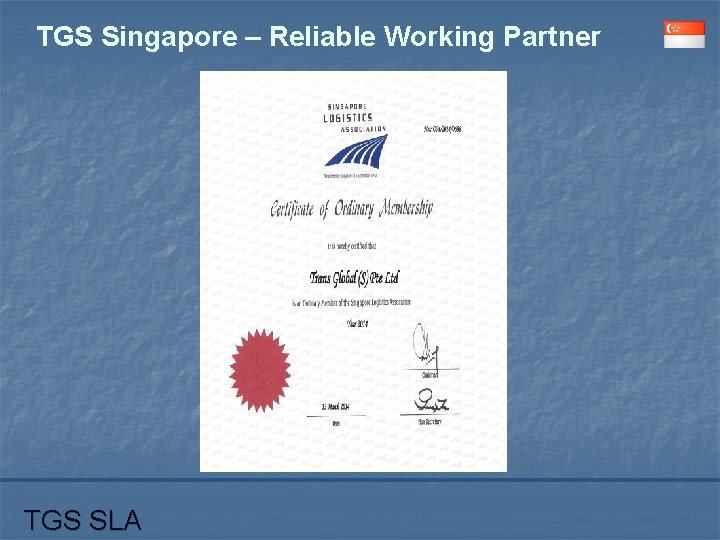 TGS Singapore – Reliable Working Partner TGS SLA 