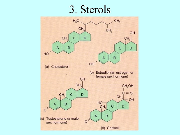 3. Sterols 
