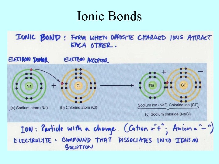 Ionic Bonds 