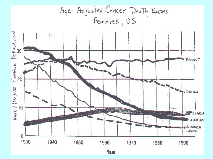 Cancer in Women 