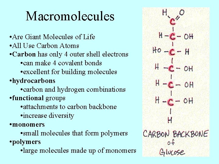 Macromolecules • Are Giant Molecules of Life • All Use Carbon Atoms • Carbon