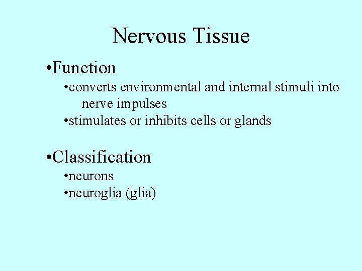 Nervous Tissue • Function • converts environmental and internal stimuli into nerve impulses •