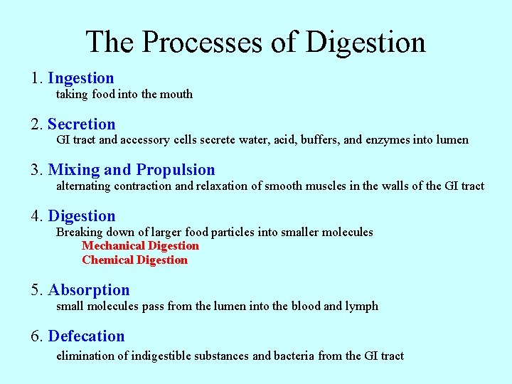The Processes of Digestion 1. Ingestion taking food into the mouth 2. Secretion GI