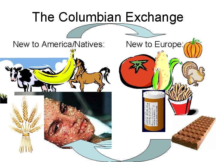 The Columbian Exchange New to America/Natives: New to Europe: 