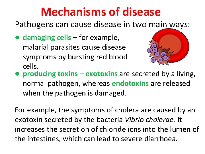 Mechanisms of disease Pathogens can cause disease in two main ways: damaging cells – Mechanisms of disease Pathogens can cause disease in two main ways: damaging cells –