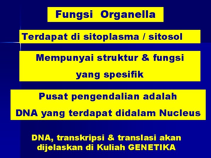 Fungsi Organella Terdapat di sitoplasma / sitosol Mempunyai struktur & fungsi yang spesifik Pusat