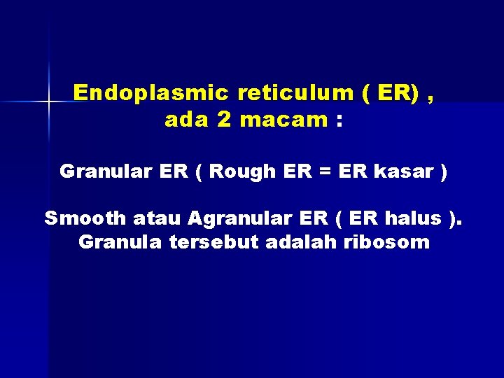Endoplasmic reticulum ( ER) , ada 2 macam : Granular ER ( Rough ER