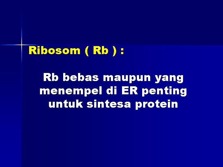 Ribosom ( Rb ) : Rb bebas maupun yang menempel di ER penting untuk