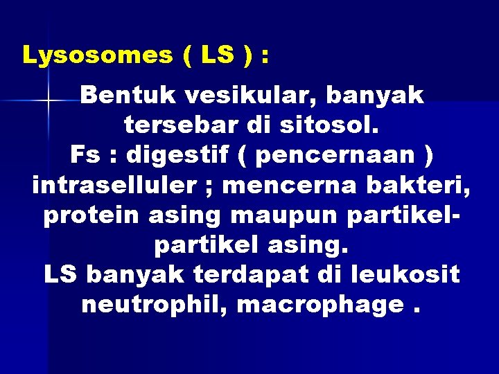 Lysosomes ( LS ) : Bentuk vesikular, banyak tersebar di sitosol. Fs : digestif