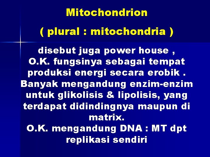 Mitochondrion ( plural : mitochondria ) disebut juga power house , O. K. fungsinya