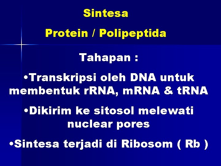 Sintesa Protein / Polipeptida Tahapan : • Transkripsi oleh DNA untuk membentuk r. RNA,