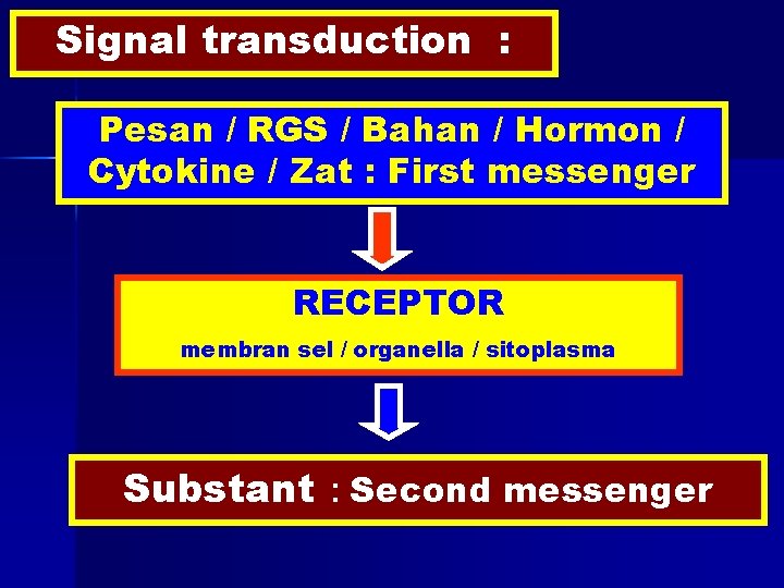 Signal transduction : Pesan / RGS / Bahan / Hormon / Cytokine / Zat