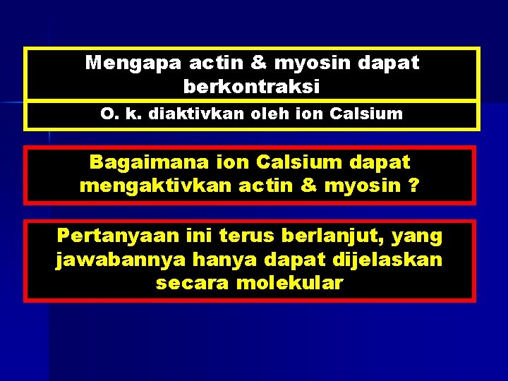 Mengapa actin & myosin dapat berkontraksi O. k. diaktivkan oleh ion Calsium Bagaimana ion