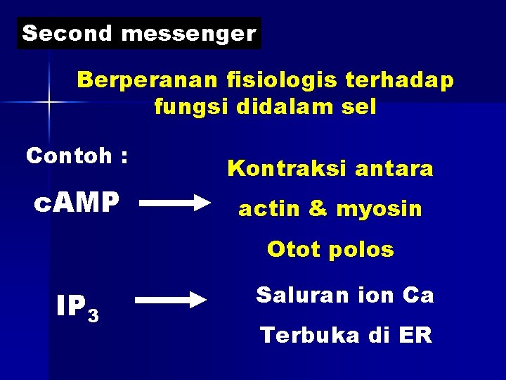 Second messenger Berperanan fisiologis terhadap fungsi didalam sel Contoh : c. AMP Kontraksi antara