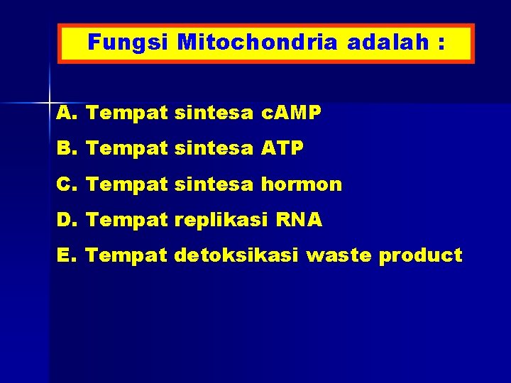 Fungsi Mitochondria adalah : A. Tempat sintesa c. AMP B. Tempat sintesa ATP C.
