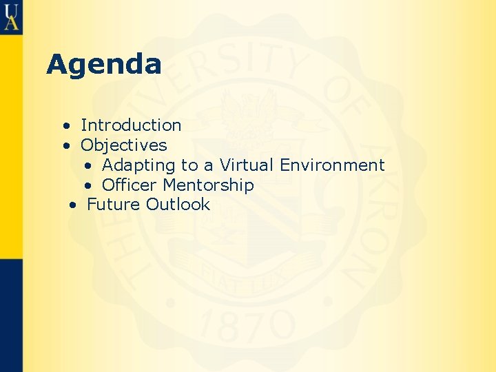 Agenda • Introduction • Objectives • Adapting to a Virtual Environment • Officer Mentorship
