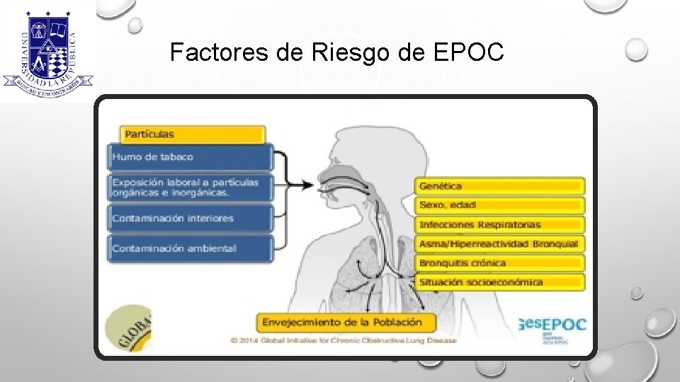 Factores de Riesgo de EPOC 