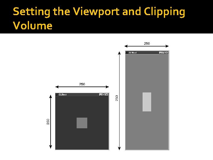 Setting the Viewport and Clipping Volume 