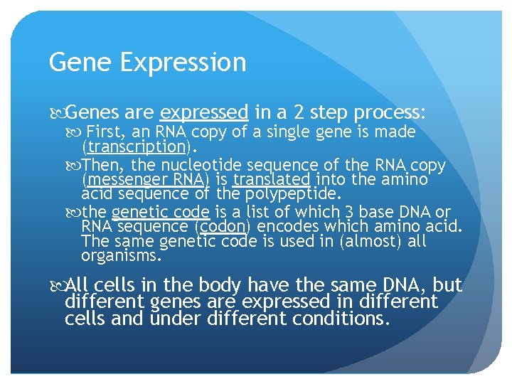 Gene Expression Genes are expressed in a 2 step process: First, an RNA copy