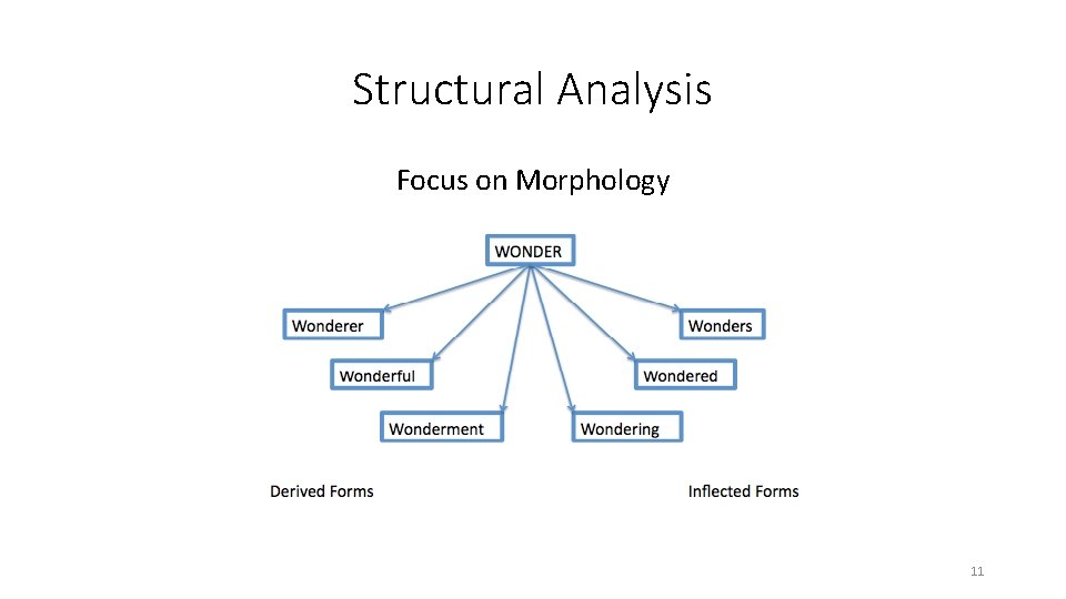 Structural Analysis Focus on Morphology 11 