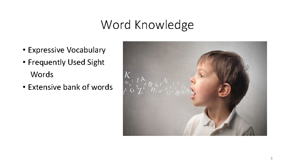 Word Knowledge • Expressive Vocabulary • Frequently Used Sight Words • Extensive bank of