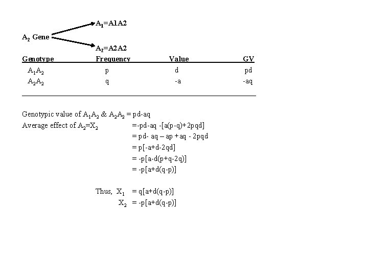 A 1=A 1 A 2 Gene A 2=A 2 A 2 Genotype Frequency Value