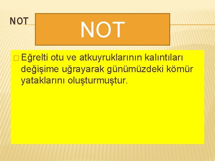 NOT � Eğrelti NOT otu ve atkuyruklarının kalıntıları değişime uğrayarak günümüzdeki kömür yataklarını oluşturmuştur.