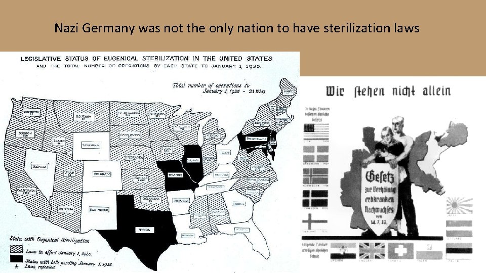 Nazi Germany was not the only nation to have sterilization laws 