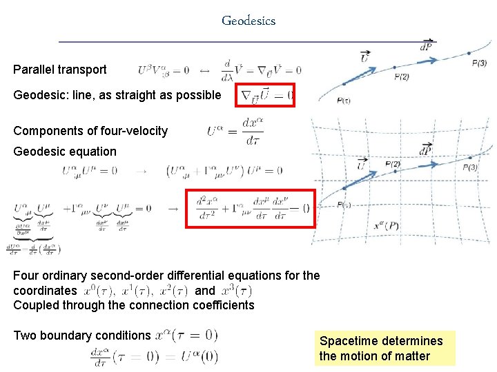 Geodesics Parallel transport Geodesic: line, as straight as possible Components of four-velocity Geodesic equation