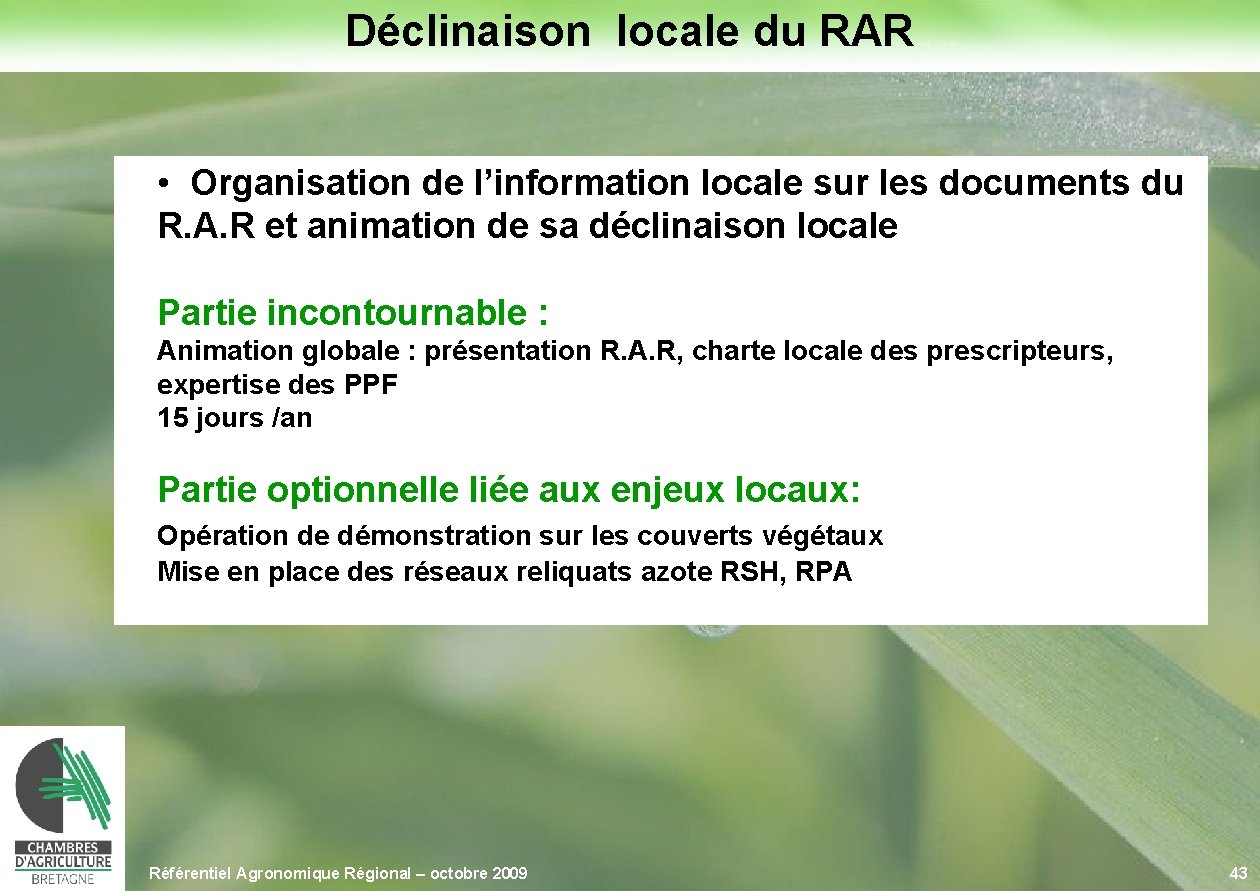 Déclinaison locale du RAR • Organisation de l’information locale sur les documents du R.