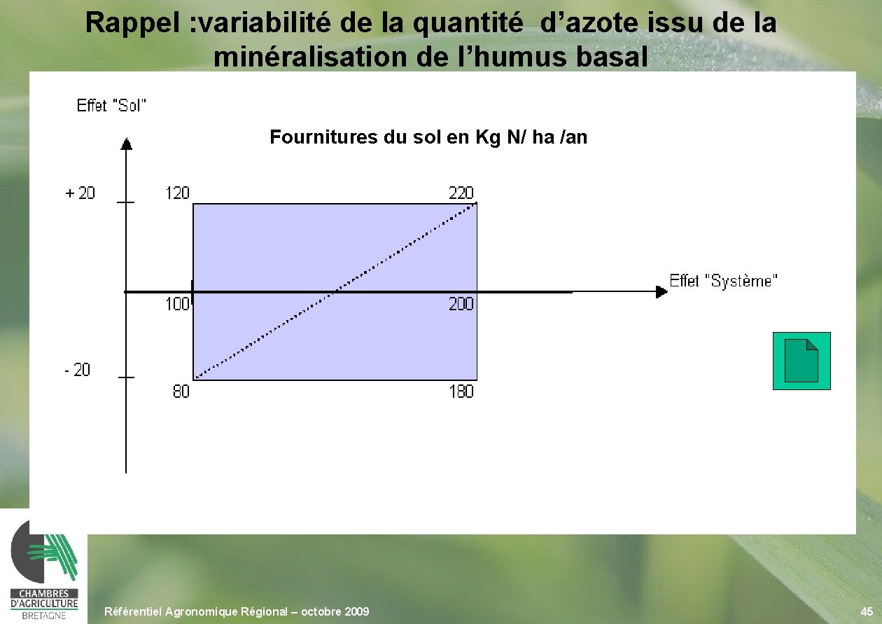 Rappel : variabilité de la quantité d’azote issu de la minéralisation de l’humus basal