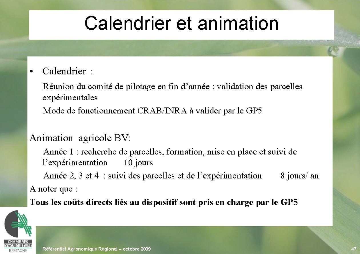 Calendrier et animation • Calendrier : Réunion du comité de pilotage en fin d’année