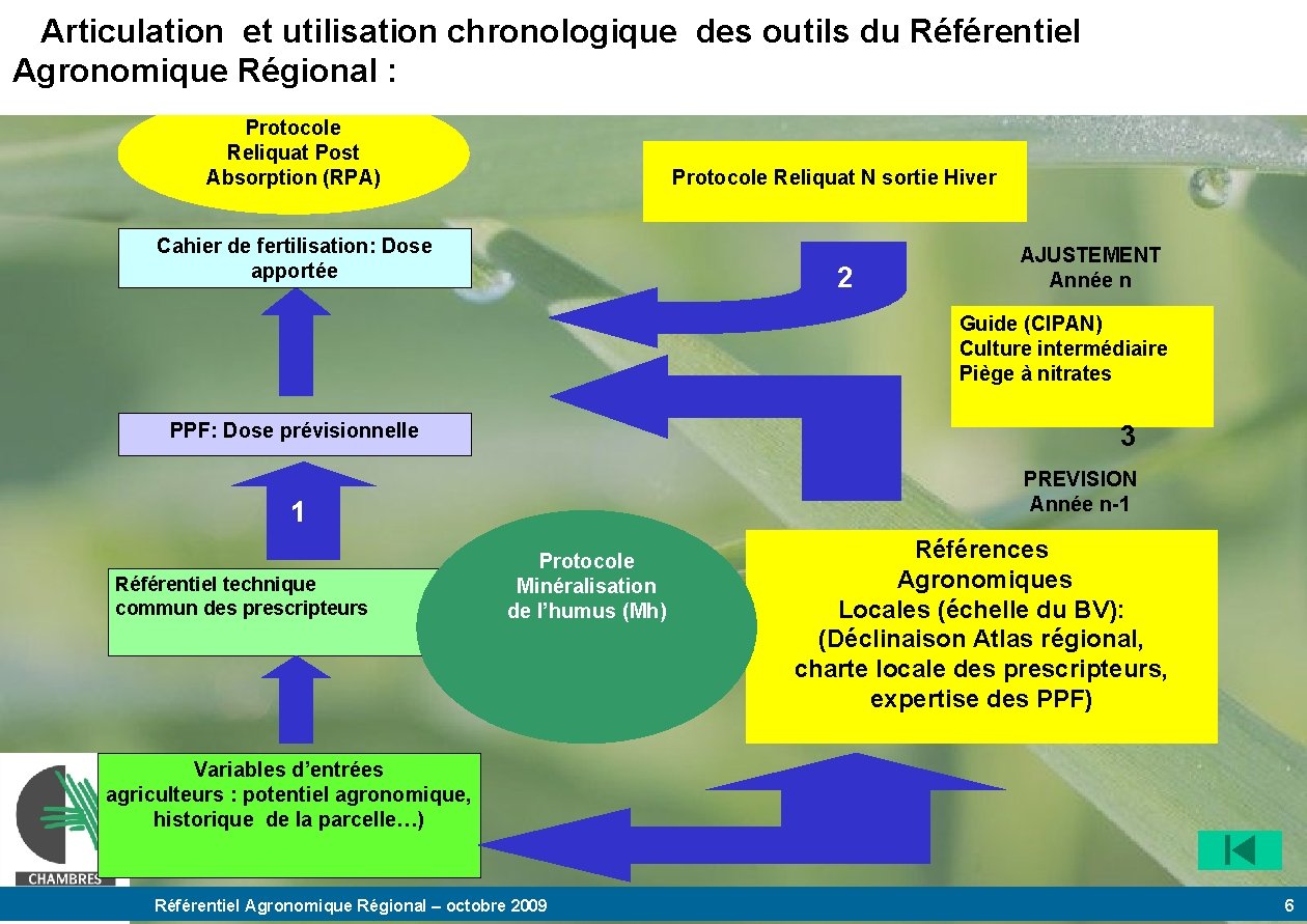 Articulation et utilisation chronologique des outils du Référentiel Agronomique Régional : Protocole Reliquat Post