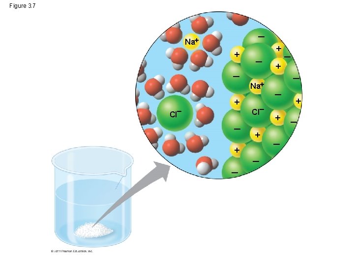Figure 3. 7 Na Cl Na Cl 